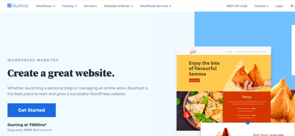 Blue host-web hosting provider