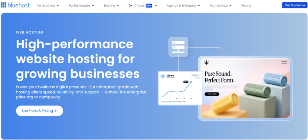 BlueHost Web Hosting