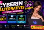 Best Cyberin Alternatives
